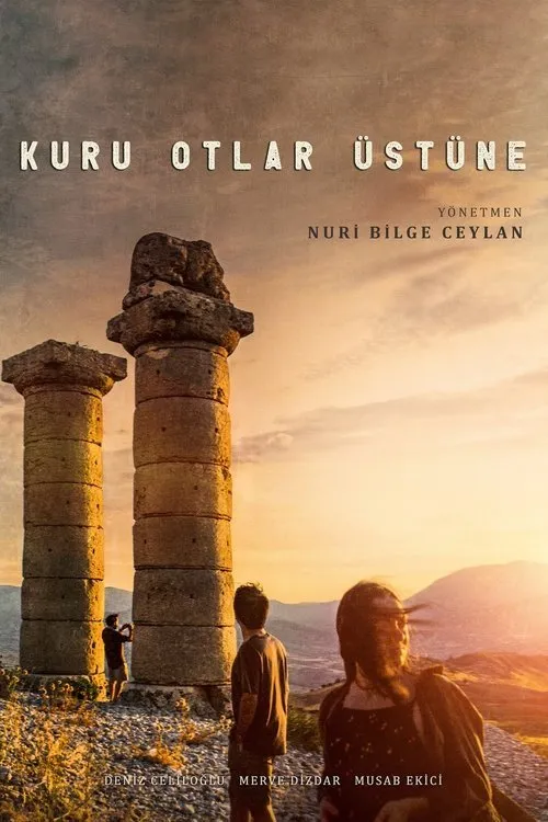 About Dry Grasses